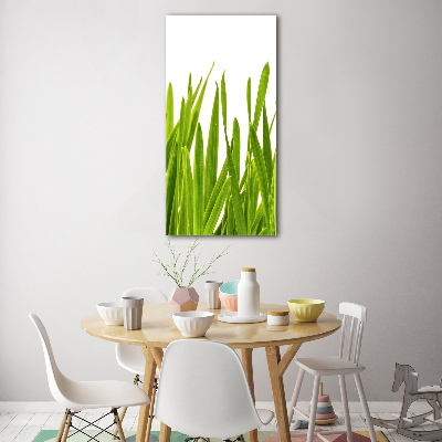 Print on acrylic green grass