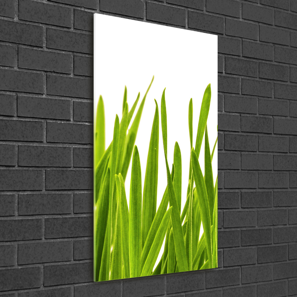 Print on acrylic green grass