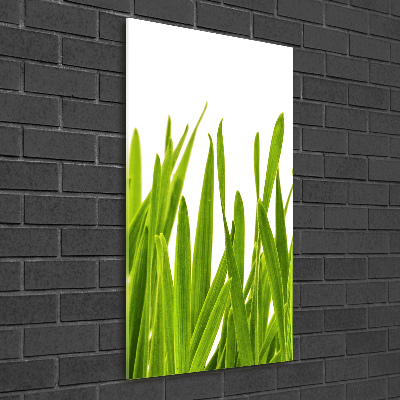 Print on acrylic green grass