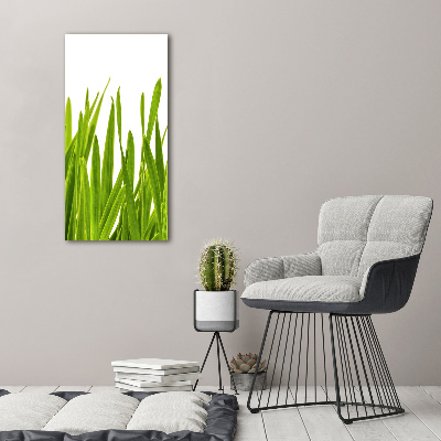 Print on acrylic green grass