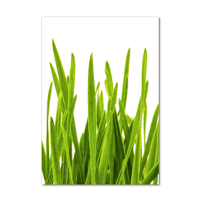 Print on acrylic green grass