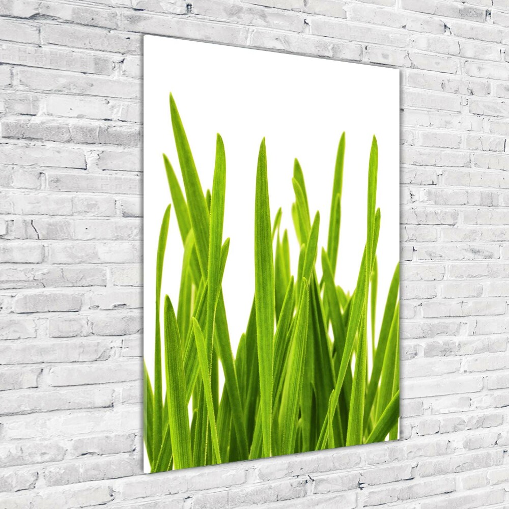 Print on acrylic green grass