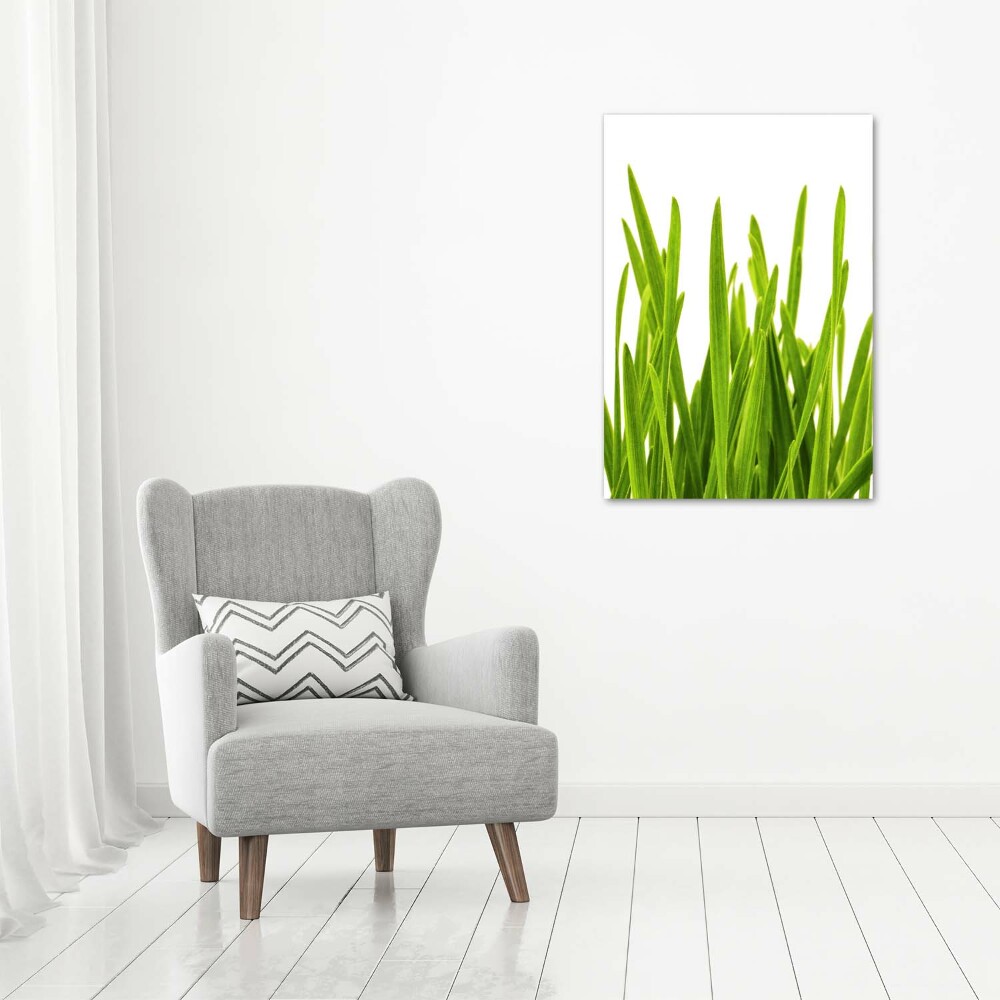 Print on acrylic green grass