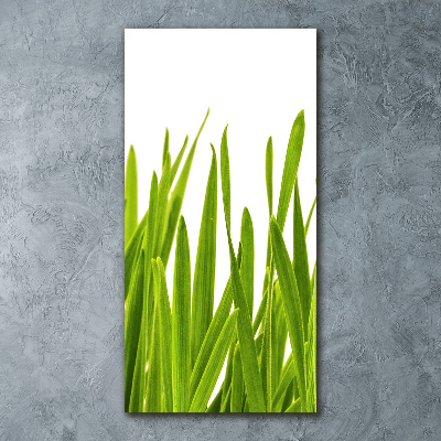 Print on acrylic green grass