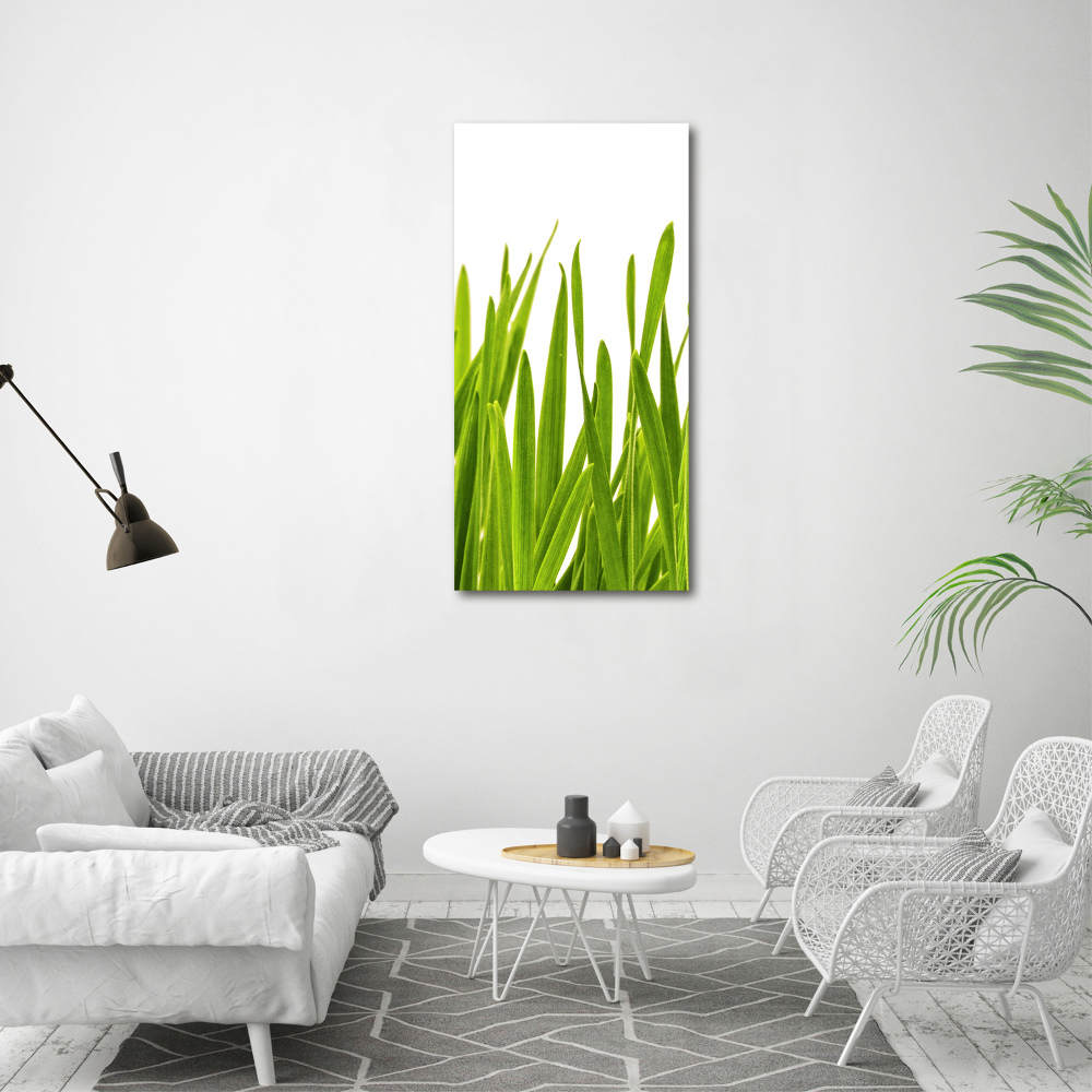 Print on acrylic green grass