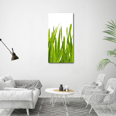 Print on acrylic green grass