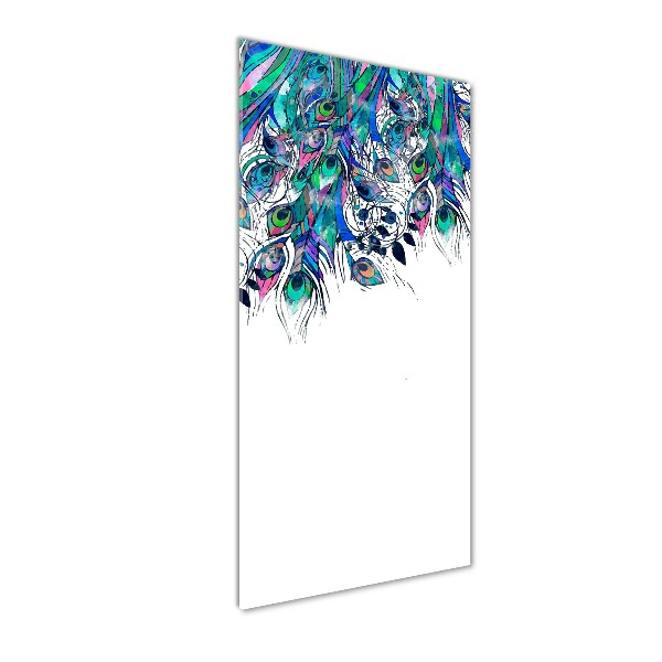 Acrylic print Peacock feathers