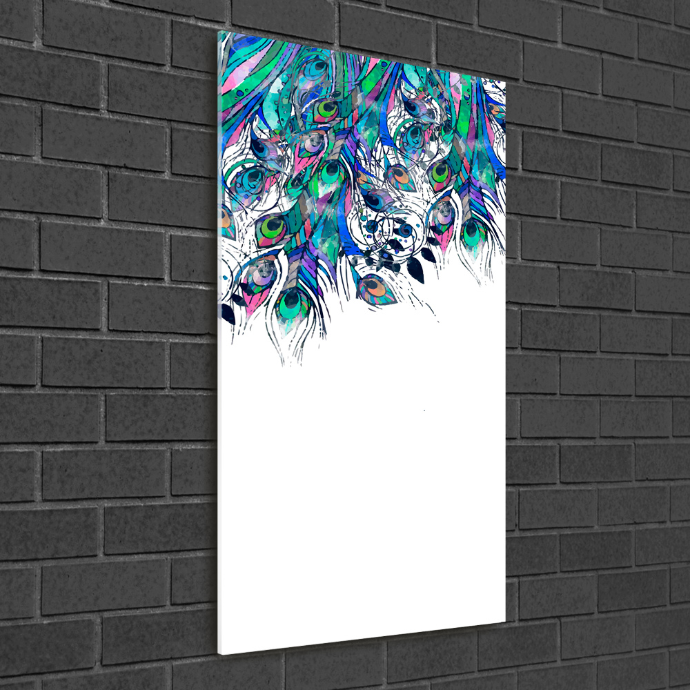 Acrylic print Peacock feathers