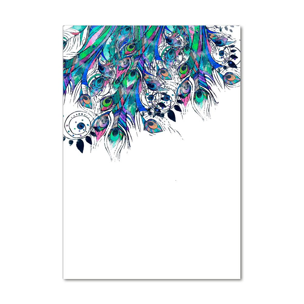 Acrylic print Peacock feathers