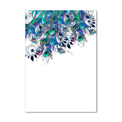 Acrylic print Peacock feathers