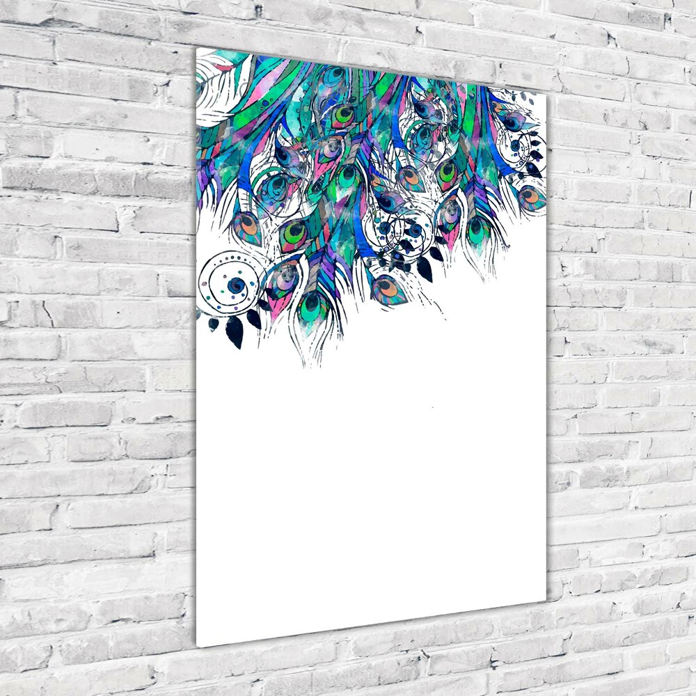 Acrylic print Peacock feathers