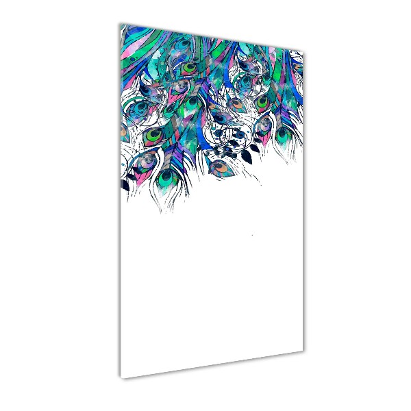 Acrylic print Peacock feathers