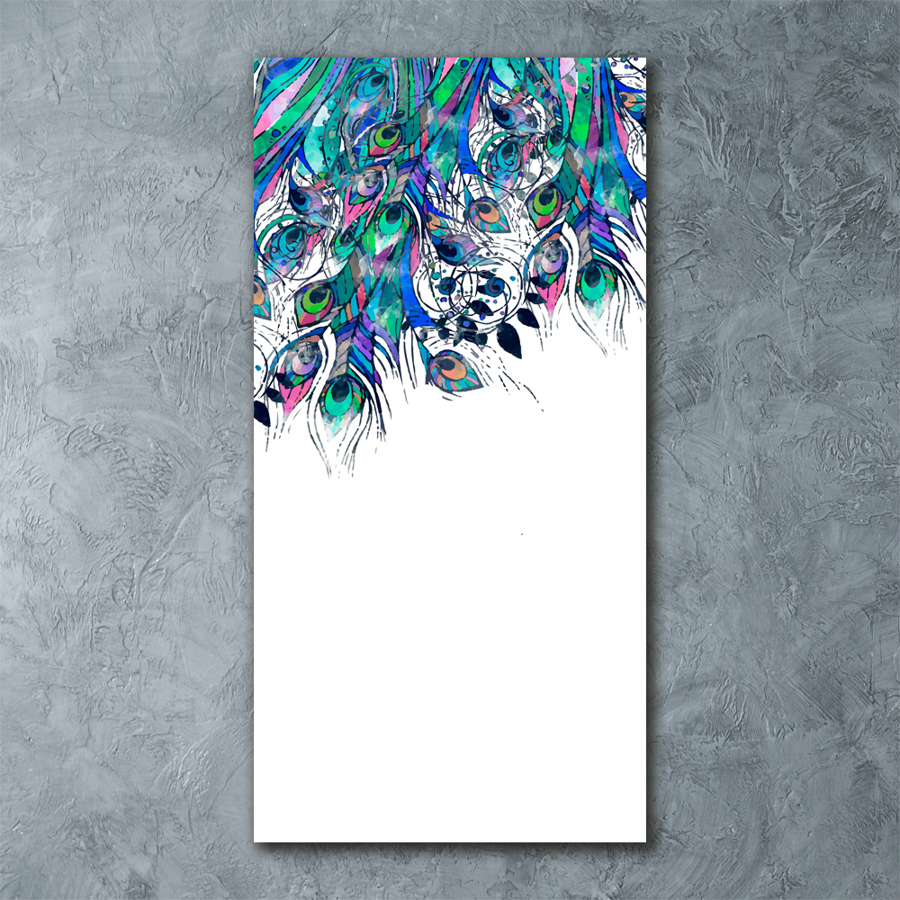 Acrylic print Peacock feathers