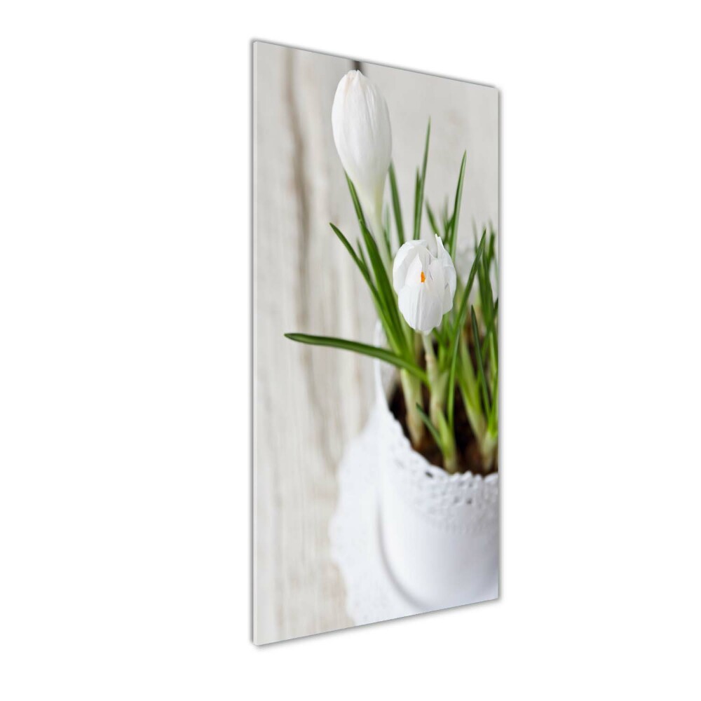 Print on acrylic White crocuses