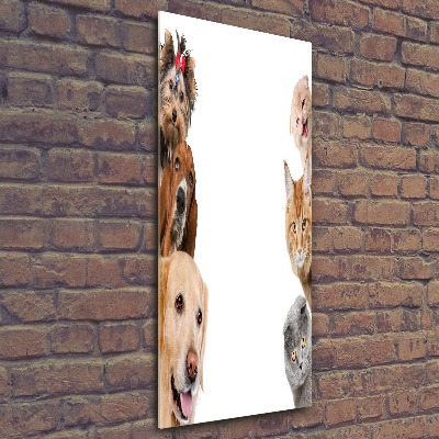 Wall art acrylic Dogs and cats