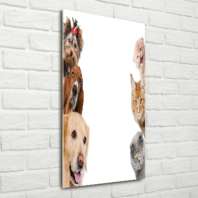 Wall art acrylic Dogs and cats