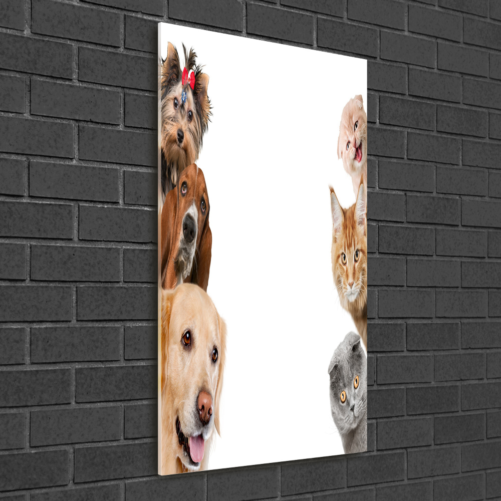 Wall art acrylic Dogs and cats