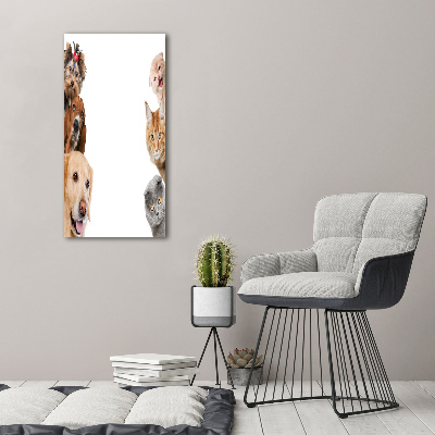 Wall art acrylic Dogs and cats