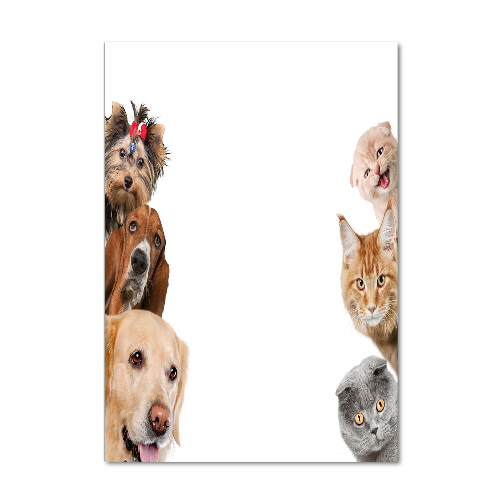 Wall art acrylic Dogs and cats