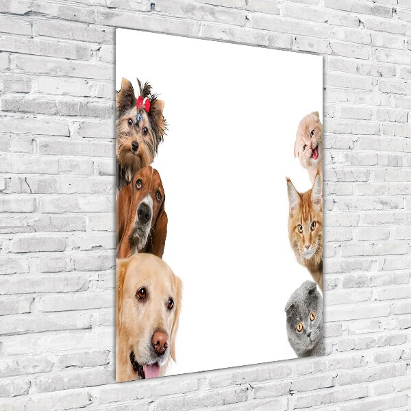 Wall art acrylic Dogs and cats