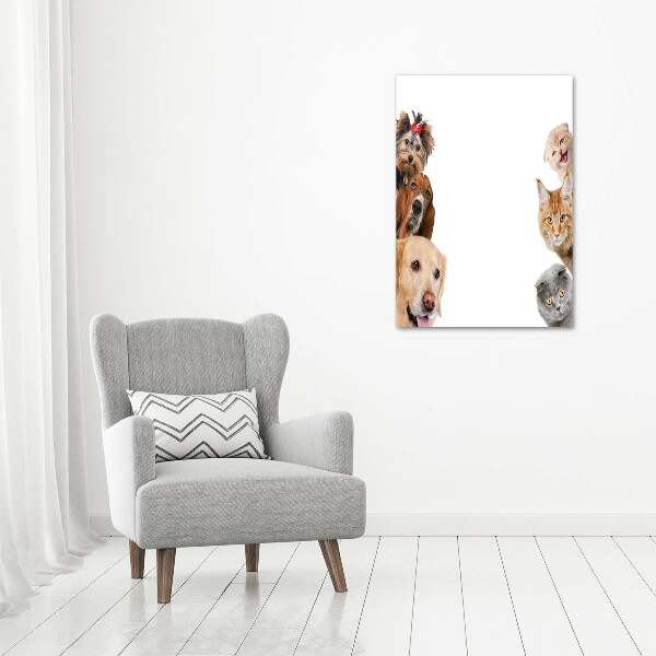 Wall art acrylic Dogs and cats