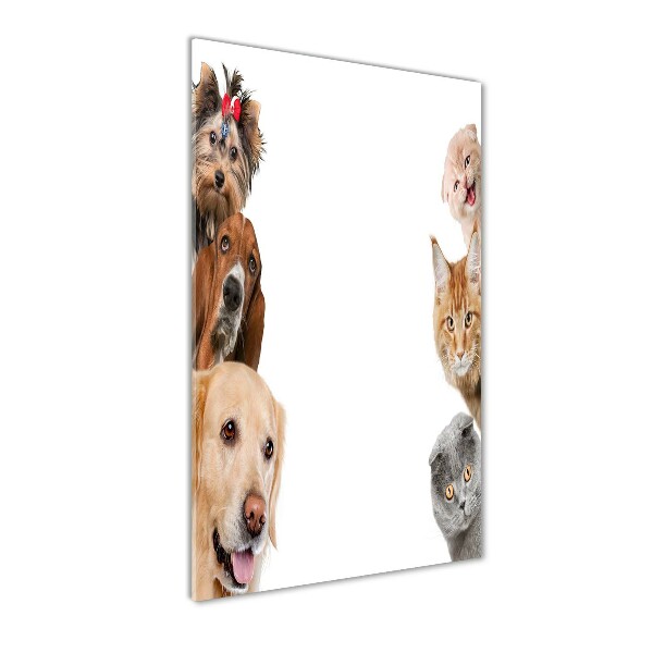 Wall art acrylic Dogs and cats