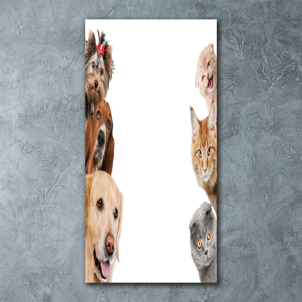 Wall art acrylic Dogs and cats