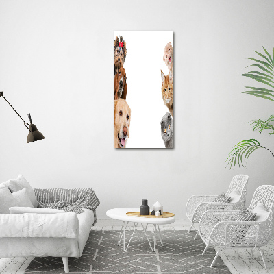 Wall art acrylic Dogs and cats