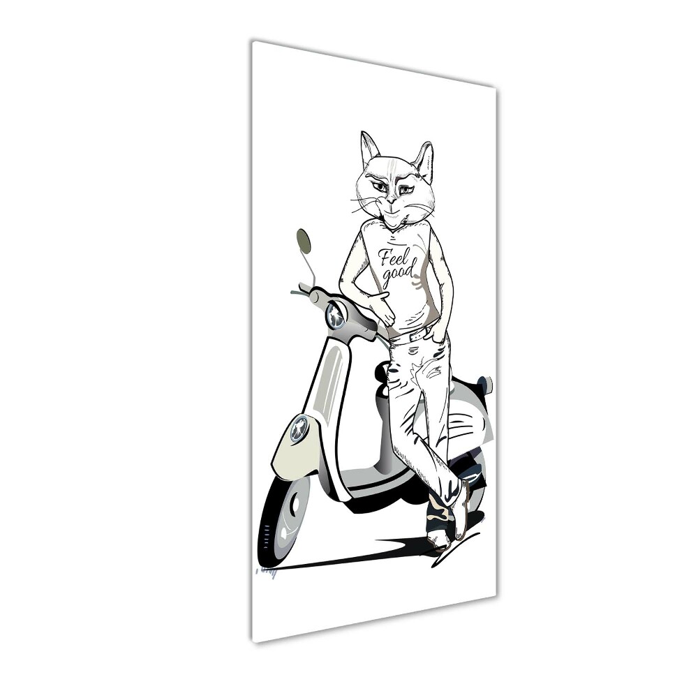 Print on acrylic glass Cat