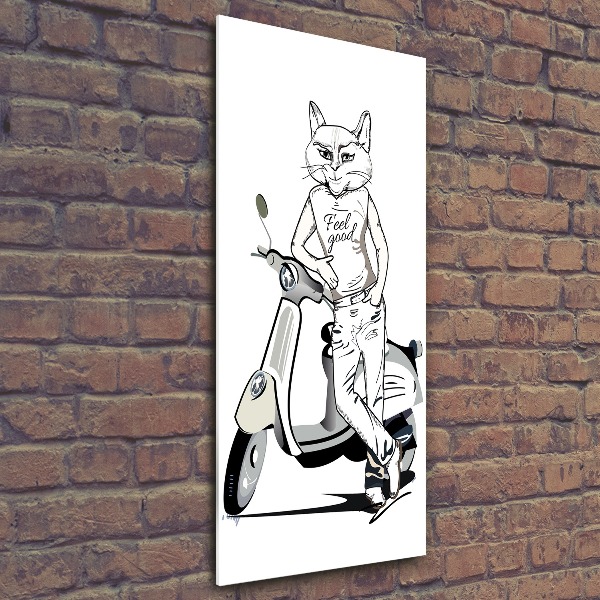 Print on acrylic glass Cat