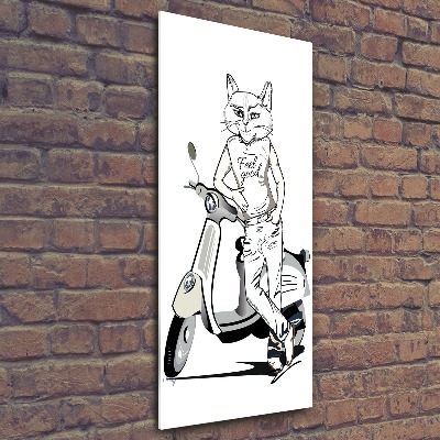 Print on acrylic glass Cat