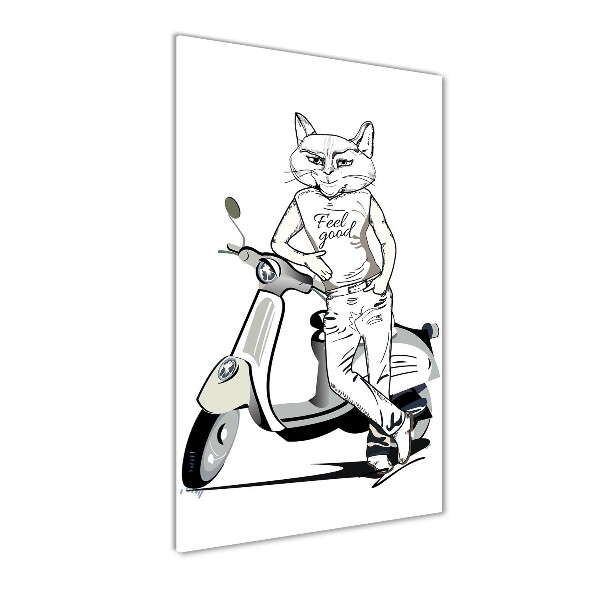 Print on acrylic glass Cat