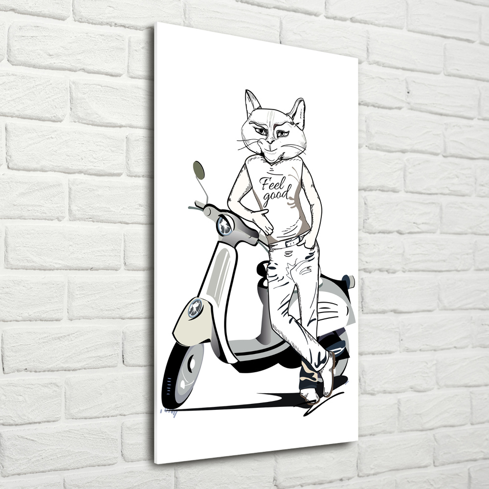 Print on acrylic glass Cat