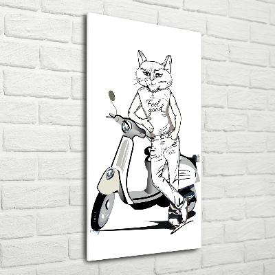 Print on acrylic glass Cat