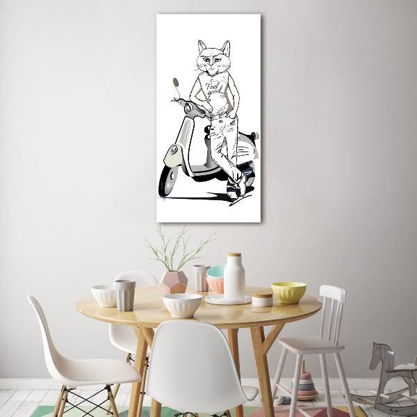 Print on acrylic glass Cat