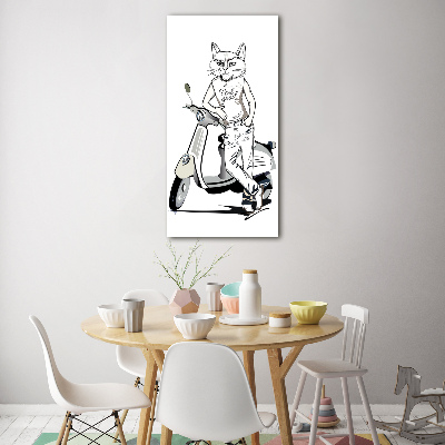 Print on acrylic glass Cat