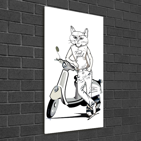 Print on acrylic glass Cat