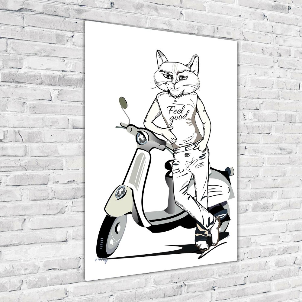 Print on acrylic glass Cat