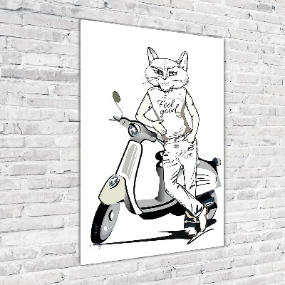 Print on acrylic glass Cat