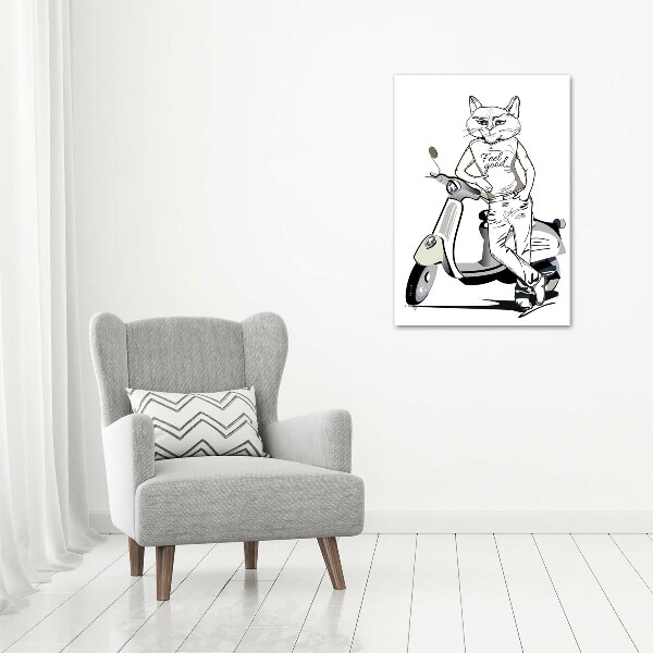 Print on acrylic glass Cat