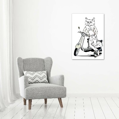 Print on acrylic glass Cat