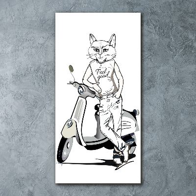 Print on acrylic glass Cat