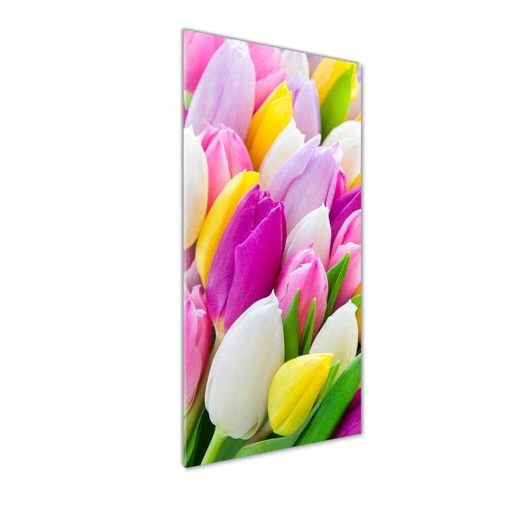 Acrylic print Colorful tulips