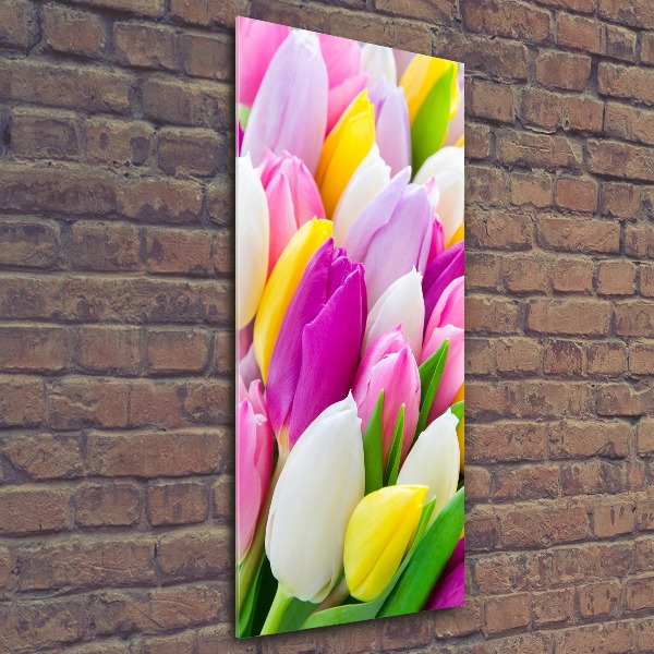 Acrylic print Colorful tulips