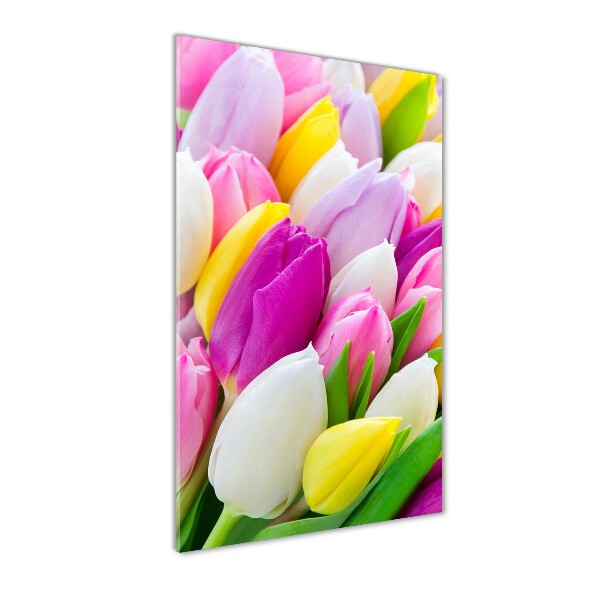 Acrylic print Colorful tulips