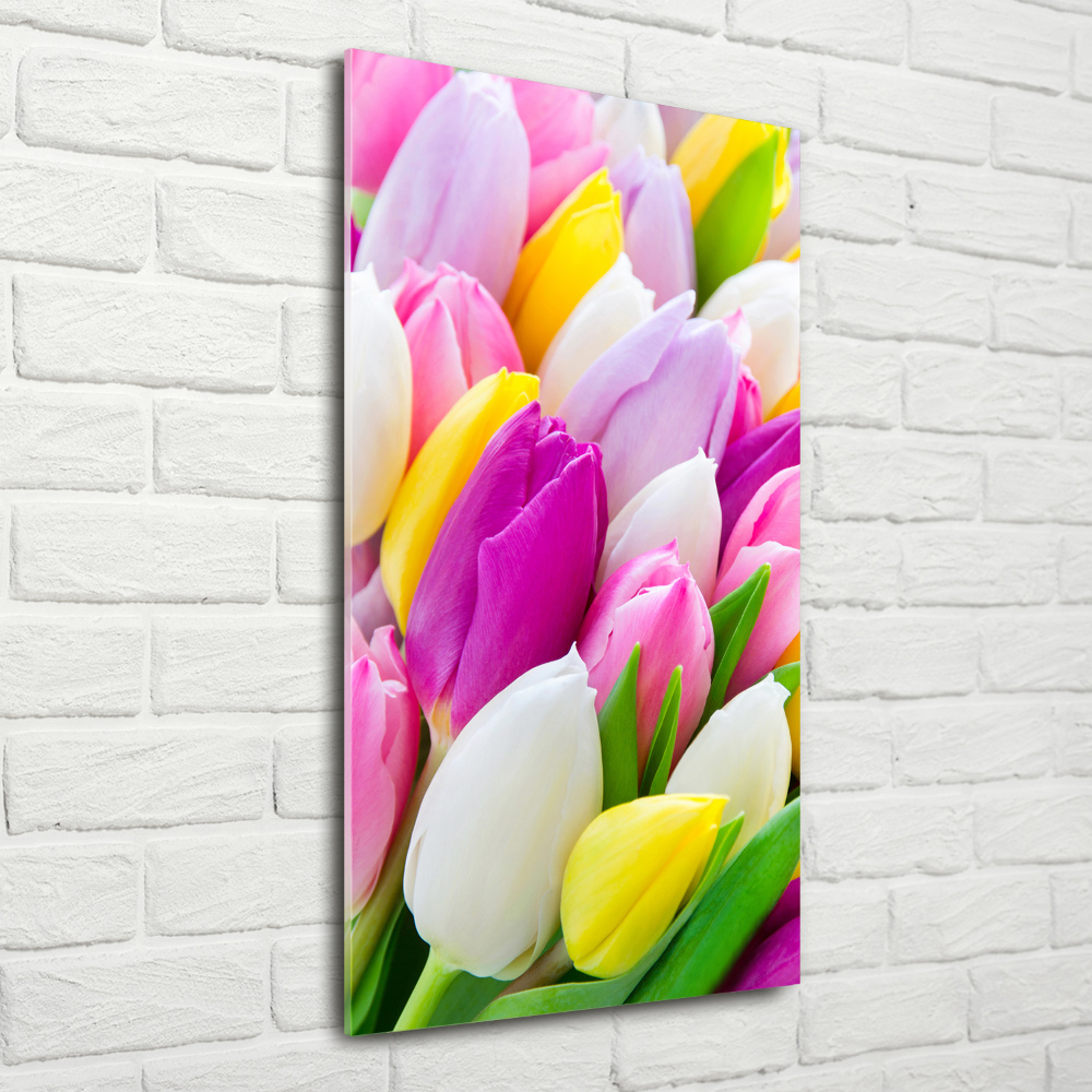 Acrylic print Colorful tulips