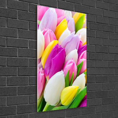 Acrylic print Colorful tulips