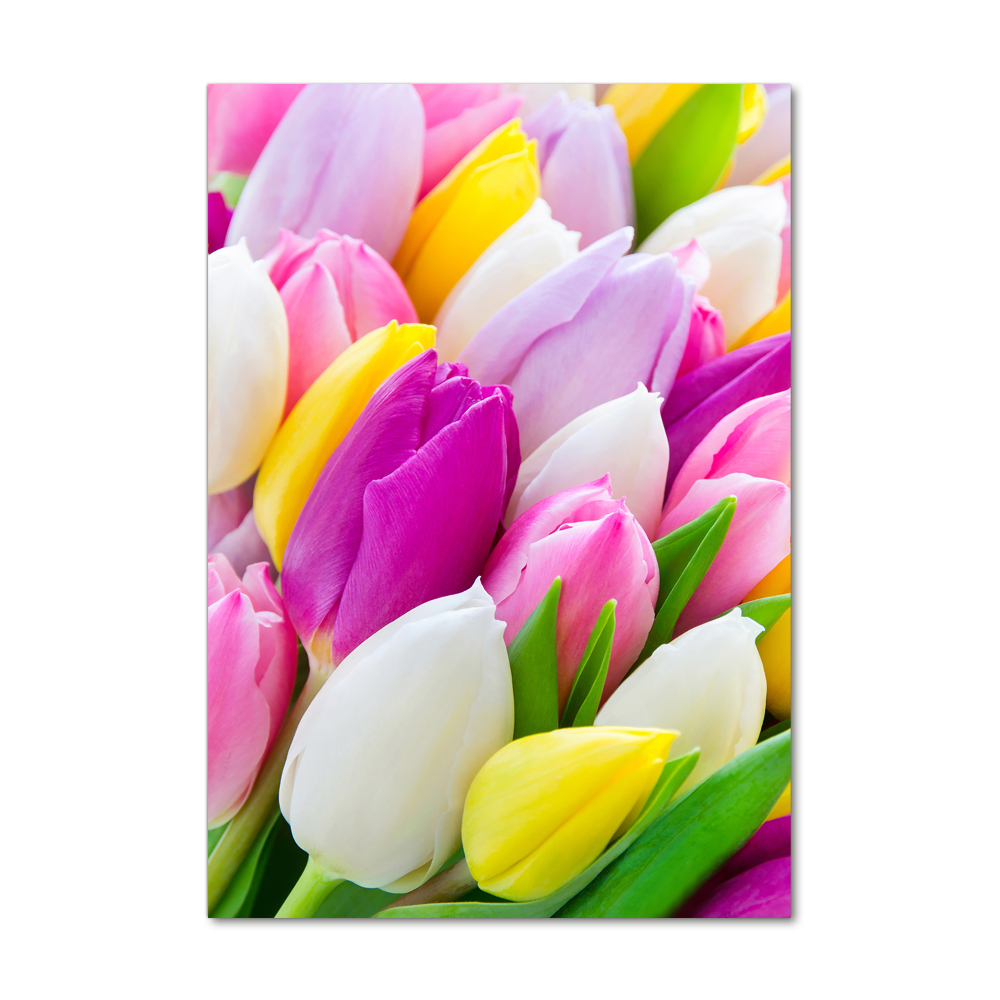 Acrylic print Colorful tulips