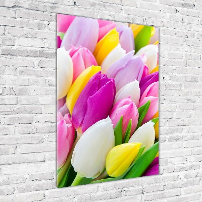 Acrylic print Colorful tulips