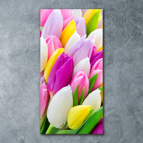 Acrylic print Colorful tulips